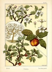 Le Pommier