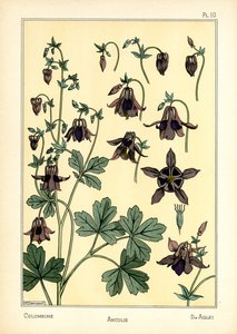 La Colombine