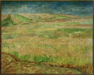 Paysages de céréales en fleurs