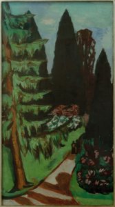 Cyprès d
