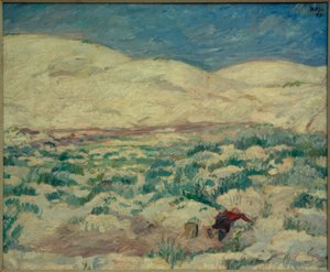 Dans les dunes mouvantes
