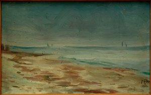 Plage, brun et gris