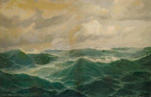 Mouettes au-dessus de la mer agitée - Max Jensen