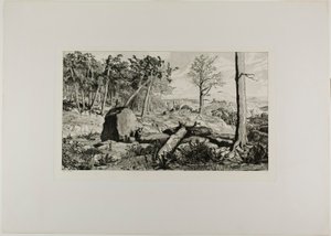 Simplicius dans la solitude de la forêt, planche dix de Intermezzos - Max Klinger