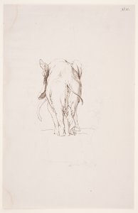 "Weg der Befleckung" - "Éléphant et chien renifleur" - Max Klinger