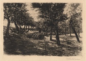 Troupeau de moutons sous les arbres - Max Liebermann