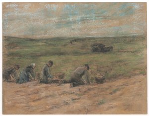 Fossoyeurs de pommes de terre à Zandvoort
