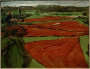 Prairie avec filets et voiles étendus