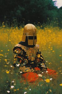 Casque doré dans un champ de fleurs