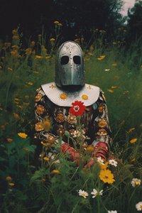 Le chevalier en fleurs