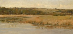 Collines et marais
