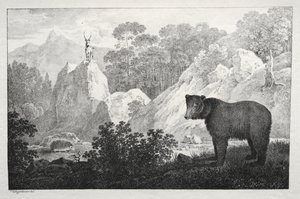 Paysage Montagneux avec Ours au Premier Plan - Maximilian Josef Wagenbauer