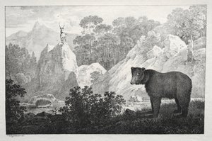 Paysage montagneux avec ours au premier plan - Maximilian Josef Wagenbauer