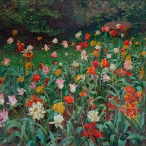Tulipes
