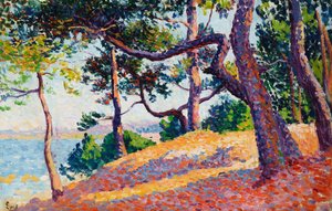 Paysage à Saint-Tropez