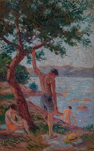 Saint-Tropez, baigneurs sous la pinède