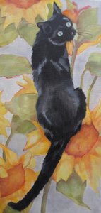 Un chat noir parmi les tournesols - Maxine Shore