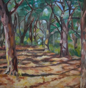 Sentier forestier ombragé - Maxine Shore