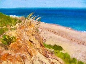 Une vue paisible sur la côte - Maxine Shore