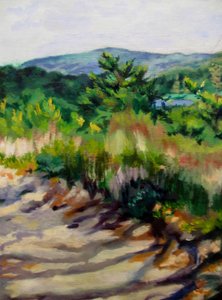 Sentier de montagne ensoleillé - Maxine Shore