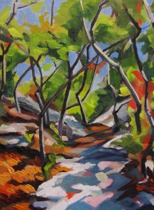 Promenade dans une forêt ensoleillée