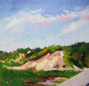 Paysage de dunes aux couleurs vives - Maxine Shore