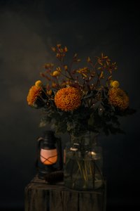 Éclat des fleurs d