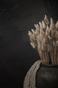 Queues-de-lièvre dans un vase sombre - Mayra Pama
