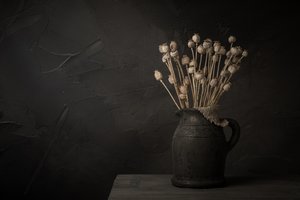 Nature morte sombre avec capsule de pavot - Mayra Pama