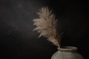 Pampa sombre et rustique - Mayra Pama