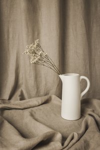 Nature morte florale minimaliste - Mayra Pama