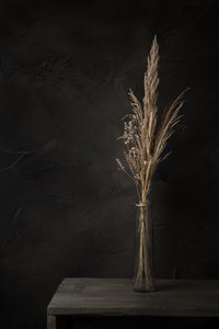 Herbes séchées atmosphériques - Mayra Pama