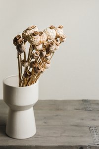 Vase naturel aux capsules de pavot - Mayra Pama