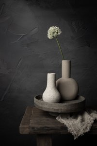 Fleur paisible et vases - Mayra Pama