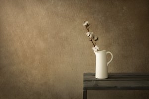 Nature morte rustique au coton - Mayra Pama