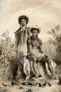 Maoris et serpent tapis, Nouvelle-Zélande, 1879