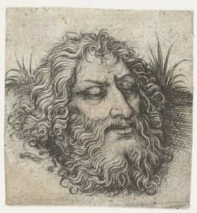 La tête de Jean-Baptiste ou de Goliath