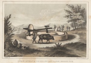 Appareil chinois pour décortiquer et broyer grossièrement le riz, 1855