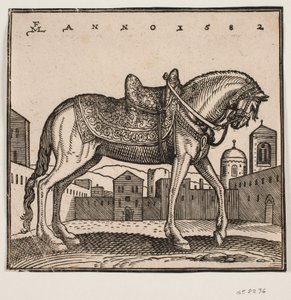Cheval élégamment sellé, profil vers la droite, sur une place rectangulaire - Melchior Lorck