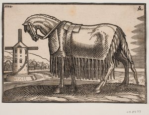 Cheval, couvert d