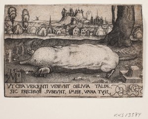 La taupe - Melchior Lorck
