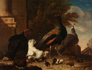 Une poule avec des paons et une dinde