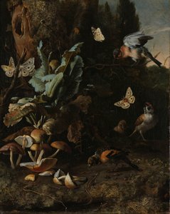 Animaux et plantes - Melchior d