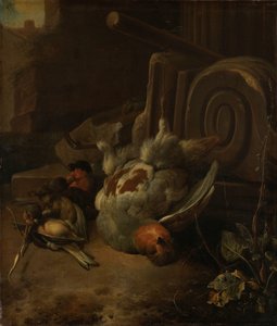 Oiseaux morts