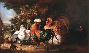 French: Oiseaux de basse-cour