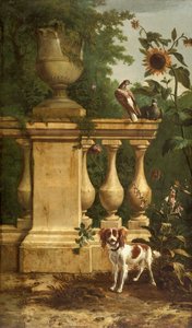 Pigeons et un chien dans un jardin