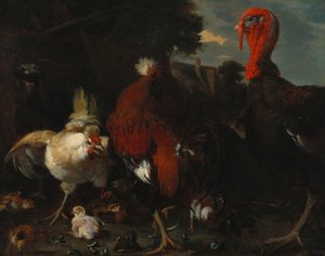 Une Poule, un Coq et une Dinde dans une Basse-cour