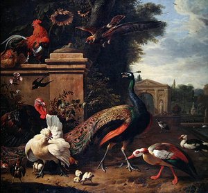Un paon, un faucon et divers volailles et canards dans un parc