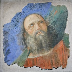 Tête d