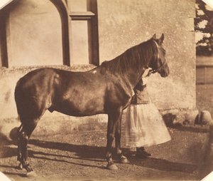 Sultan, milieu des années 1850 - Mervyn Herbert Nevil Story Maskelyne
